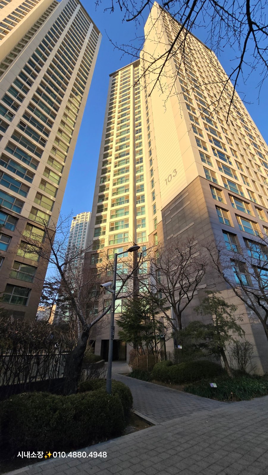 반포리체